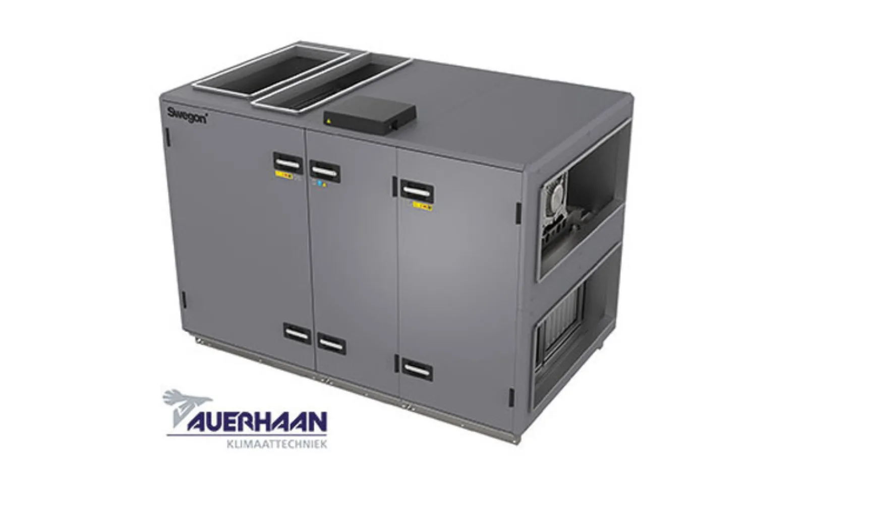 IT20220323 Auerhaan GOLD RX 20 web L